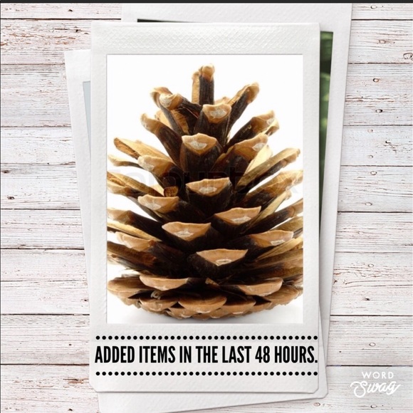 Just in. - Picture 4 of 16